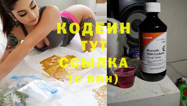 мяу мяу мука Корсаков