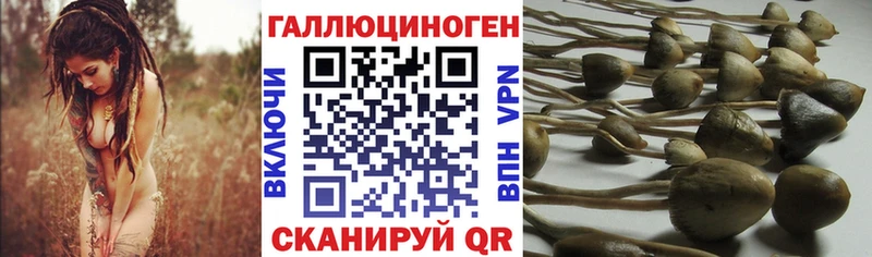 OMG сайт  Усолье  Псилоцибиновые грибы MAGIC MUSHROOMS  где продают наркотики 